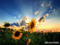 佛山万浤贸易有限公司