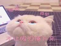 佛山万浤贸易有限公司