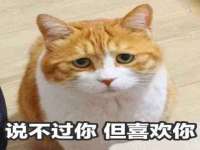 佛山万浤贸易有限公司