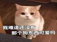 佛山万浤贸易有限公司