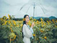 佛山万浤贸易有限公司