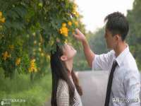 佛山万浤贸易有限公司