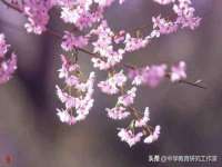 佛山万浤贸易有限公司