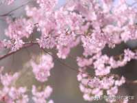 佛山万浤贸易有限公司