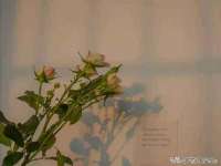 佛山万浤贸易有限公司