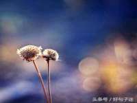佛山万浤贸易有限公司