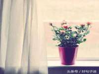 佛山万浤贸易有限公司