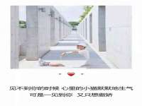 佛山万浤贸易有限公司