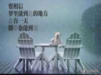 佛山万浤贸易有限公司