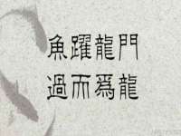 佛山万浤贸易有限公司