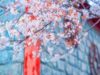 佛山万浤贸易有限公司