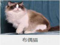 佛山万浤贸易有限公司