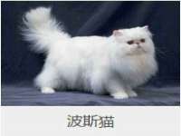 佛山万浤贸易有限公司