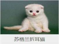 佛山万浤贸易有限公司