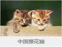 佛山万浤贸易有限公司