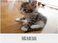 佛山万浤贸易有限公司