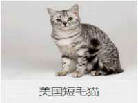 佛山万浤贸易有限公司