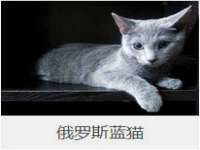 佛山万浤贸易有限公司