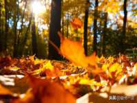 佛山万浤贸易有限公司