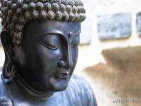 佛山万浤贸易有限公司