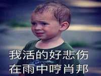 佛山万浤贸易有限公司
