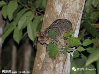 佛山万浤贸易有限公司