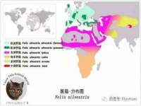 佛山万浤贸易有限公司