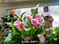 佛山万浤贸易有限公司