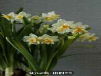 佛山万浤贸易有限公司
