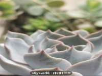 佛山万浤贸易有限公司