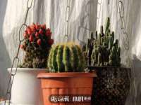 佛山万浤贸易有限公司