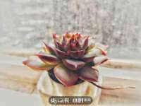 佛山万浤贸易有限公司