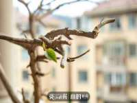 佛山万浤贸易有限公司