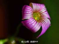 佛山万浤贸易有限公司