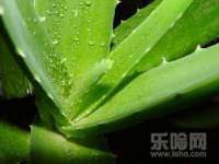 佛山万浤贸易有限公司