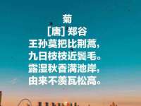 佛山万浤贸易有限公司