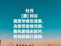 佛山万浤贸易有限公司