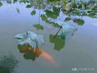 佛山万浤贸易有限公司