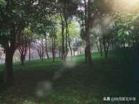 佛山万浤贸易有限公司