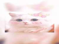 佛山万浤贸易有限公司