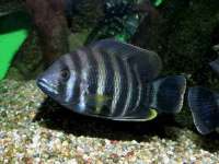 佛山万浤贸易有限公司