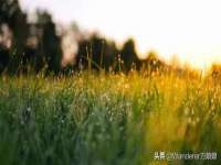 佛山万浤贸易有限公司