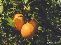 佛山万浤贸易有限公司