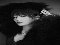 佛山万浤贸易有限公司