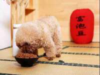 佛山万浤贸易有限公司