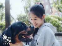佛山万浤贸易有限公司