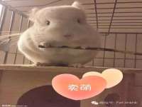 佛山万浤贸易有限公司