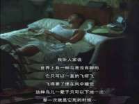 佛山万浤贸易有限公司