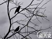 佛山万浤贸易有限公司