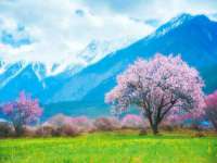 佛山万浤贸易有限公司